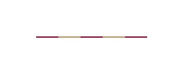 De IJzeren Man