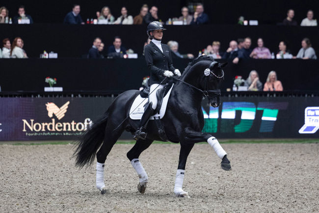 Sénégal de Fontaine