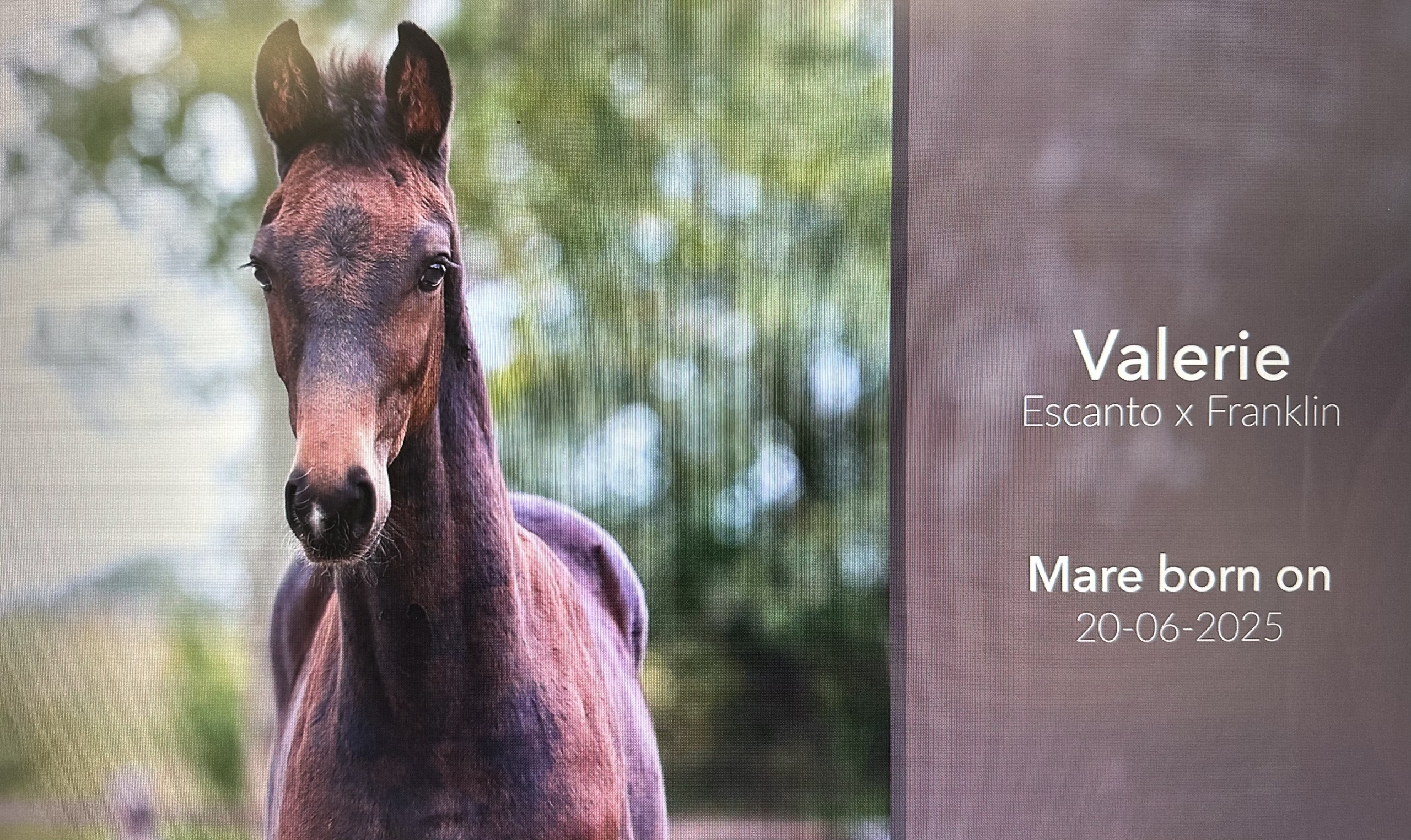 Valerie