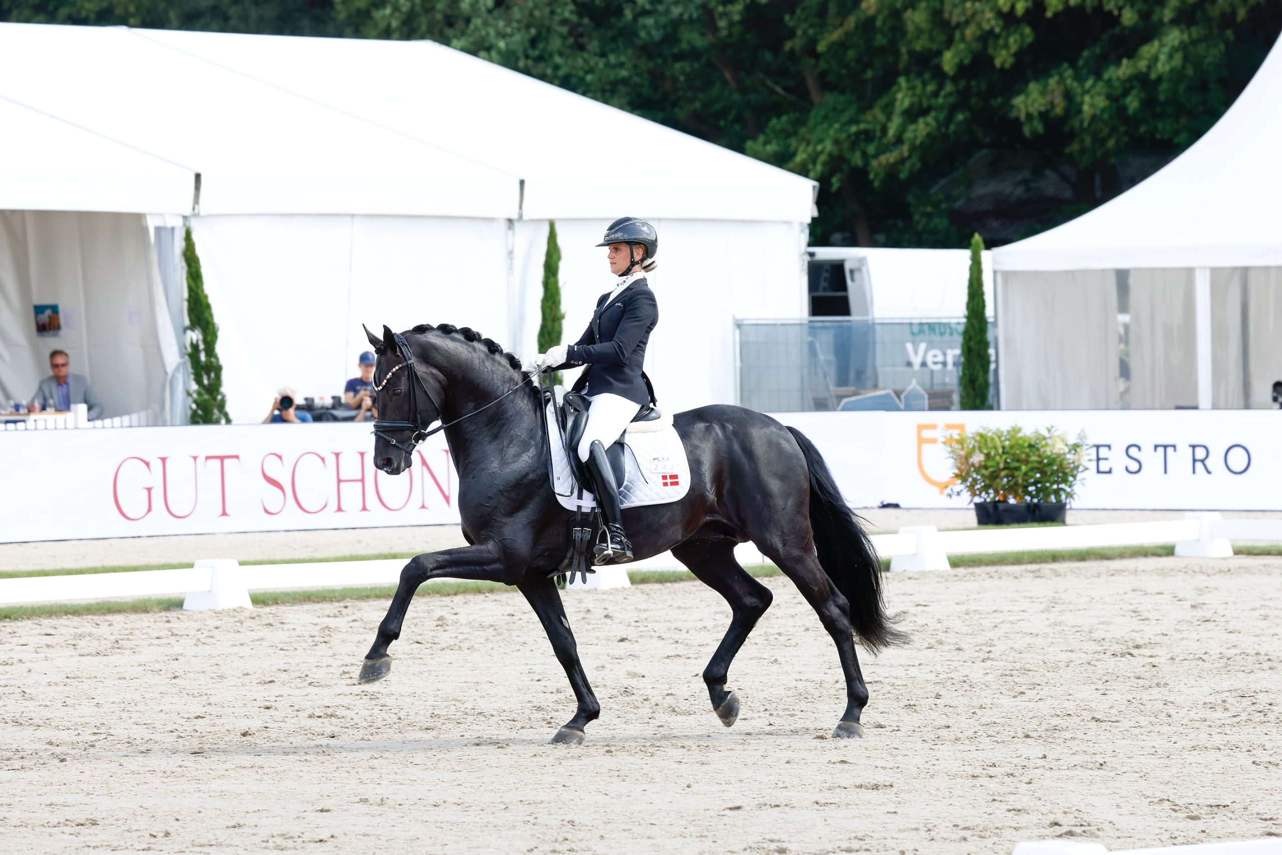 Straight Horse Leonardo